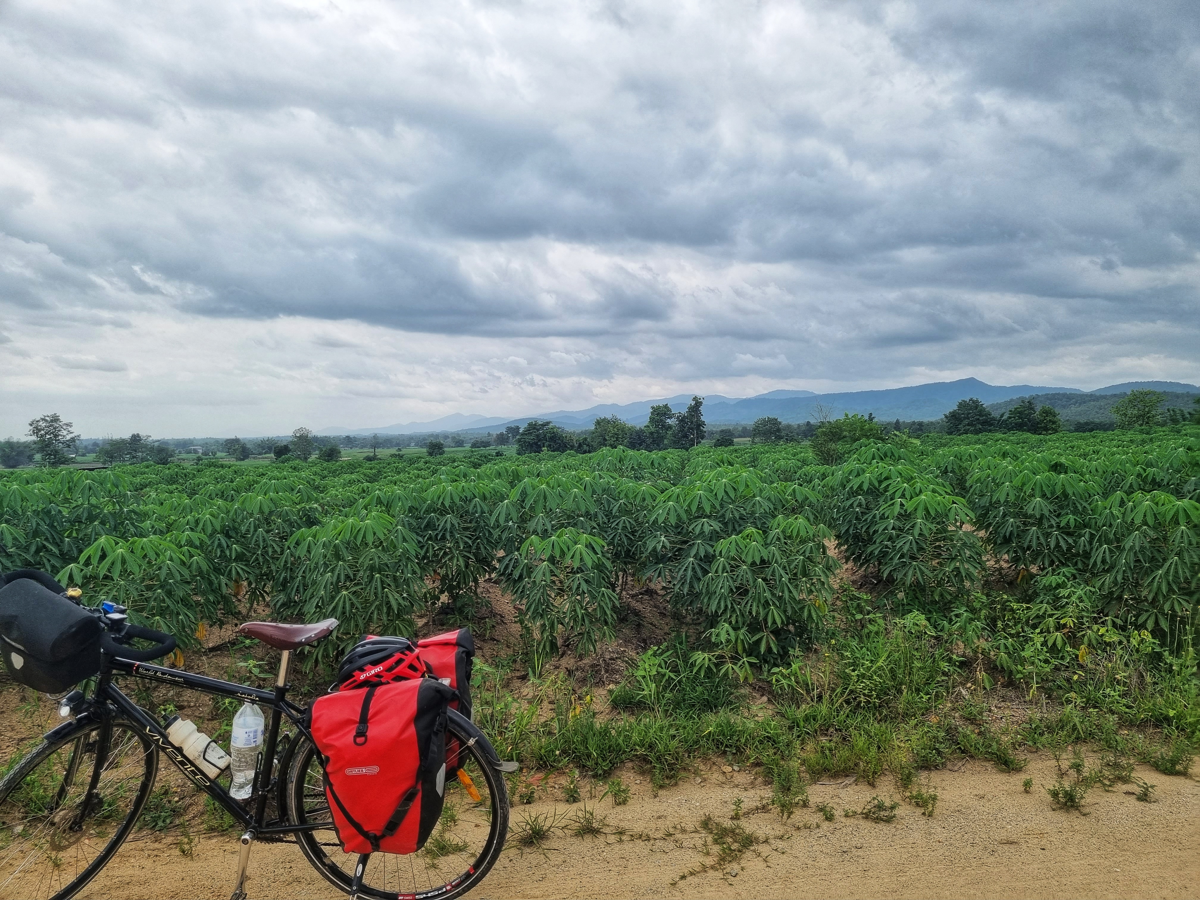 In search of waterfalls…