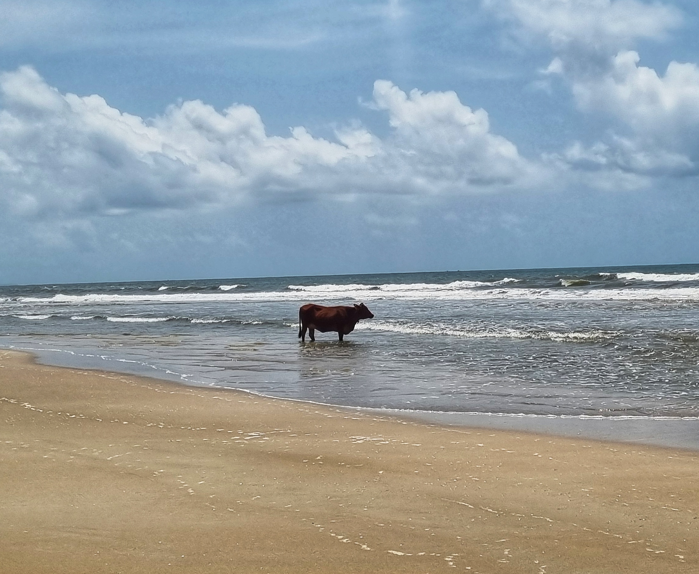 Goa- Sand and Sundowners!